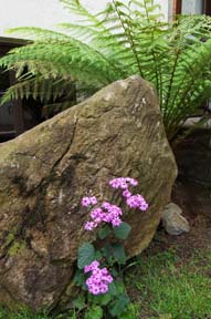 photo of the patio rock